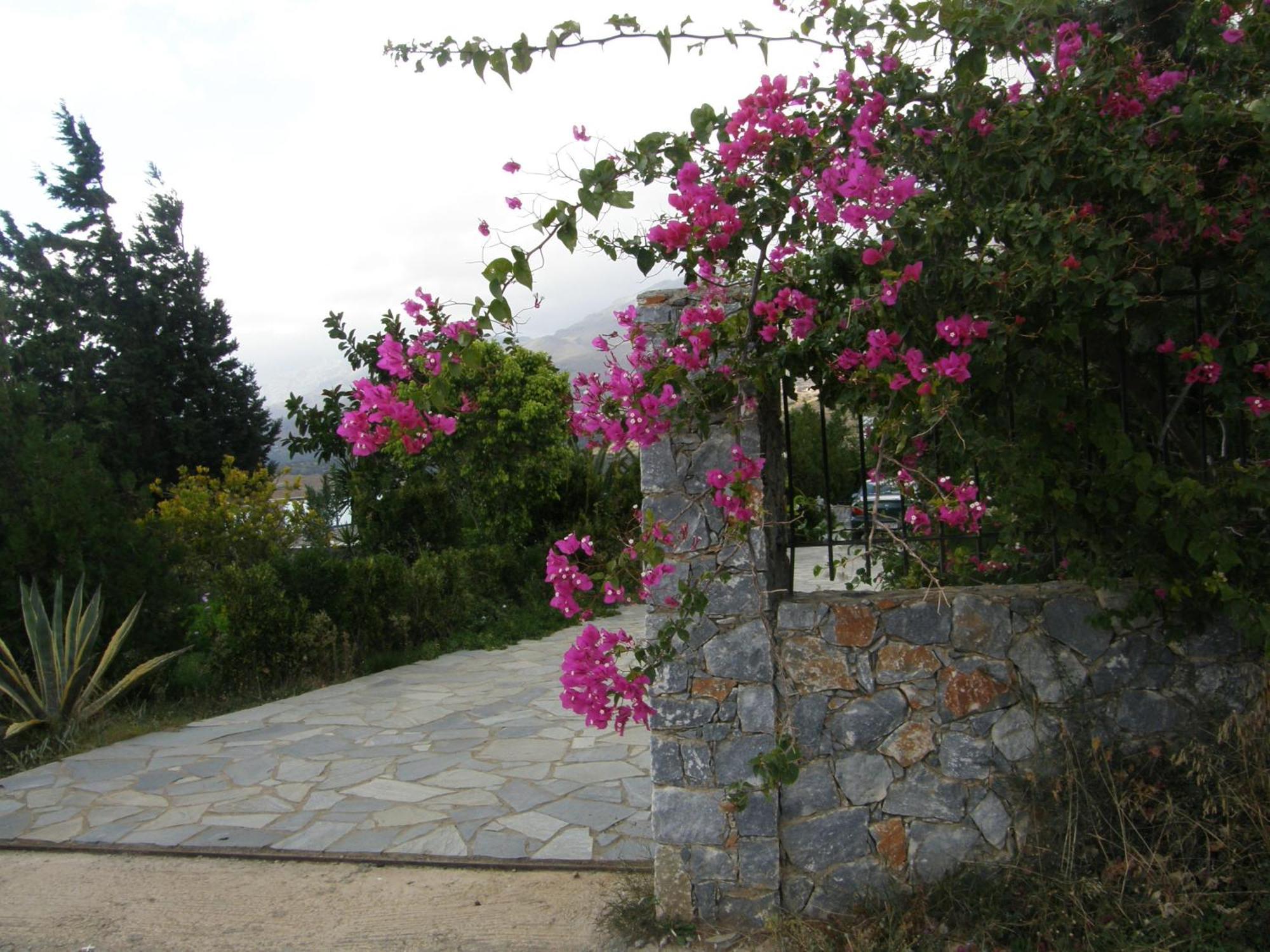 Plakias Villas Lefkogeia المظهر الخارجي الصورة